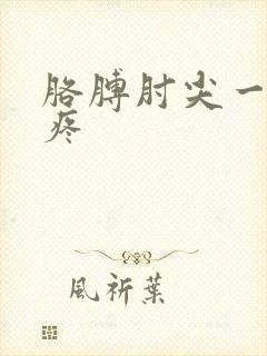 胳膊肘尖一碰就疼封面