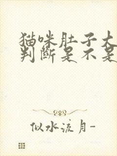 猫咪肚子大怎么判断是不是腹水