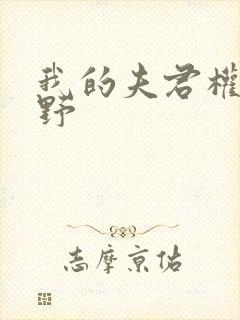 我的夫君权倾朝野封面