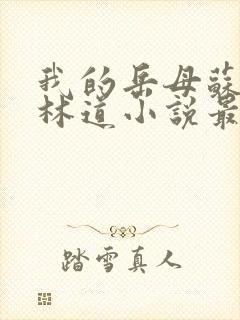 我的岳母苏沛真林道小说最新章节