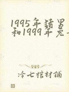 1995年猪男和1999年兔女五行婚配