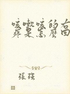 咳嗽咳的右边胸疼是怎么回事封面