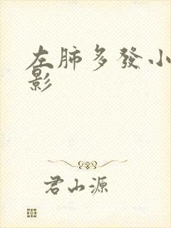 左肺多发小结节影