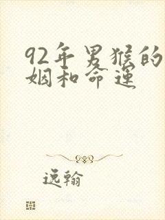 92年男猴的婚姻和命运封面