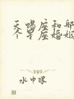 天蝎座和哪个哪个星座婚姻最幸福