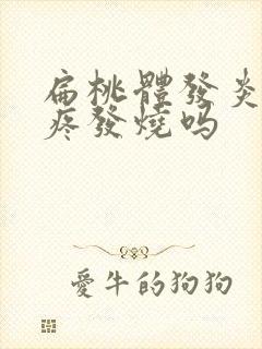 扁桃体发炎会头疼发烧吗