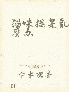 猫咪总是乱尿怎么办