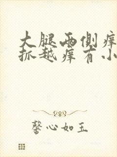 大腿两侧痒痒越抓越痒有小红疙瘩