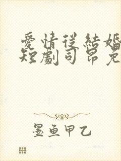 爱情从结婚开始短剧司昂免费观看