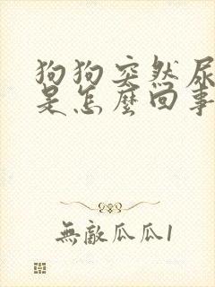 狗狗突然尿少了是怎么回事