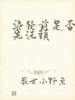 染发前是否需要先洗头