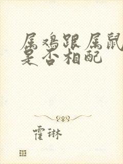 属鸡跟属鼠婚姻是否相配