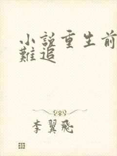 小说重生前妻太难追