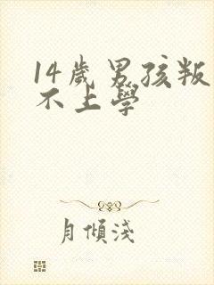 14岁男孩叛逆不上学