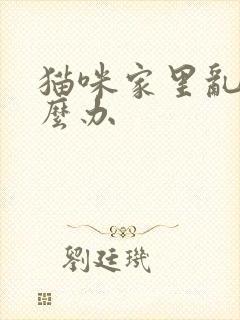 猫咪家里乱尿怎么办封面