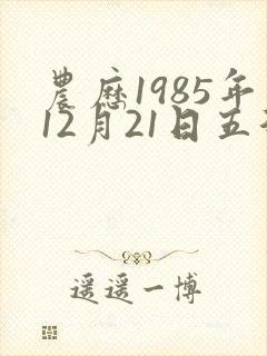 农历1985年12月21日五行八字