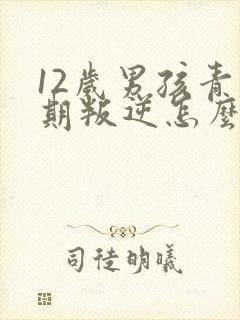 12岁男孩青春期叛逆怎么办