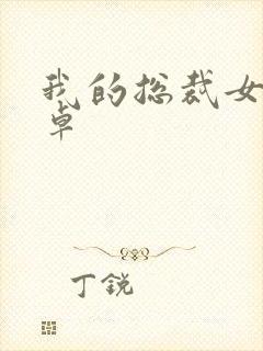 我的总裁女友安卓