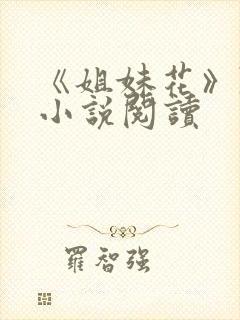 《姐妹花》陈刚小说阅读