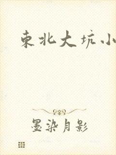 东北大坑小说