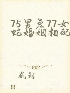 75男兔77女蛇婚姻相配吗