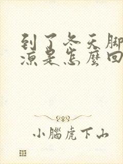 到了冬天脚就冰凉是怎么回事