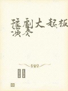 豫剧大起板板胡演奏