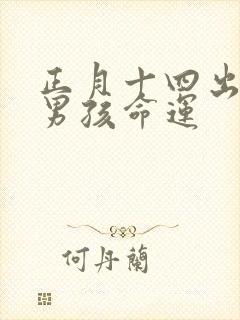 正月十四出生的男孩命运