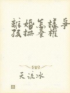 离婚怎样争夺小孩抚养权