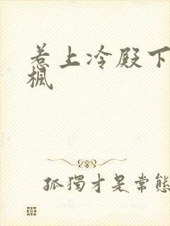 惹上冷殿下司徒枫