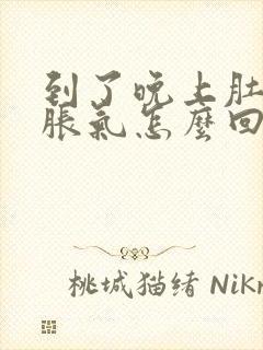 到了晚上肚子就胀气怎么回事封面