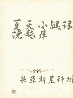 夏天小腿很痒越挠越痒封面