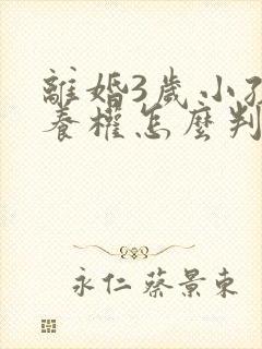 离婚3岁小孩抚养权怎么判定