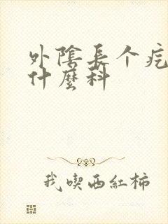 外阴长个疙瘩挂什么科