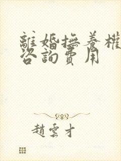 离婚抚养权律师咨询费用