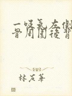 一吸气左侧肩胛骨周围后背里面疼