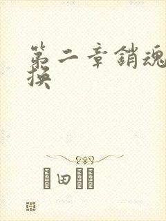 第二章销魂的交换