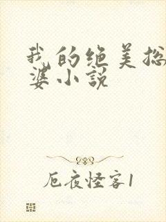 我的绝美总裁老婆小说