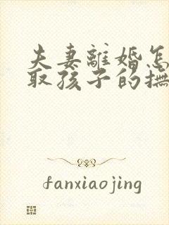 夫妻离婚怎样争取孩子的抚养权封面