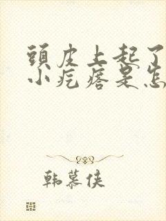 头皮上起了一些小疙瘩是怎么回事封面