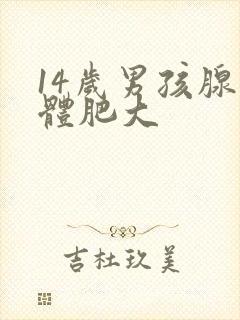 14岁男孩腺样体肥大