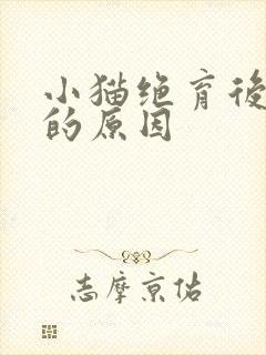 小猫绝育后乱尿的原因