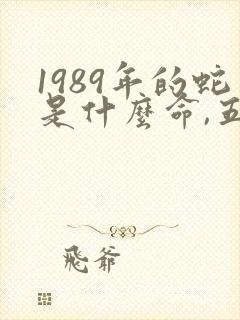 1989年的蛇是什么命,五行属性