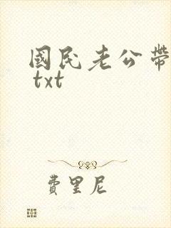 国民老公带回家 txt