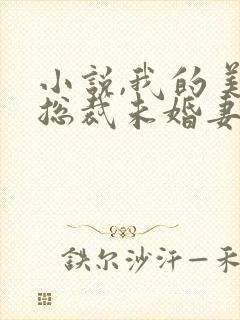 小说,我的美女总裁未婚妻