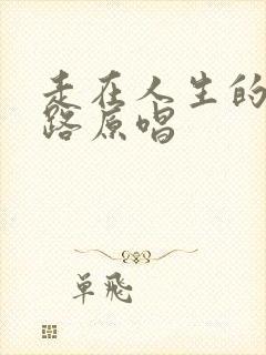 走在人生的这条路原唱