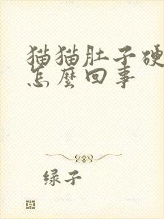 猫猫肚子硬硬的怎么回事封面