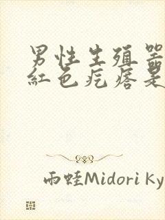 男性生殖器上长红色疙瘩是怎么回事