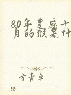 80年农历十一月的猴是什么命