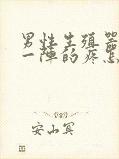 男性生殖器一阵一阵的疼怎么回事